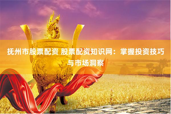 抚州市股票配资 股票配资知识网：掌握投资技巧与市场洞察