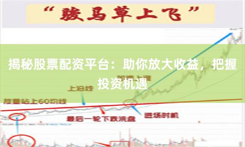 揭秘股票配资平台：助你放大收益，把握投资机遇