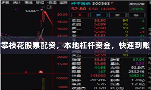 攀枝花股票配资，本地杠杆资金，快速到账