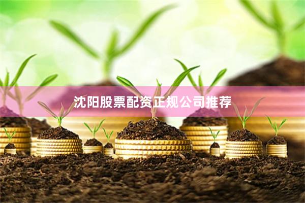 沈阳股票配资正规公司推荐